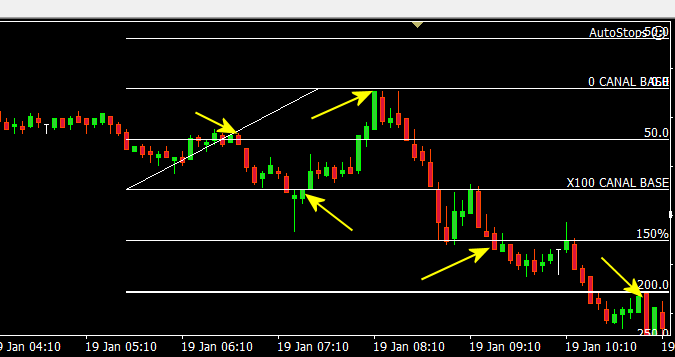 indicador zona de briga