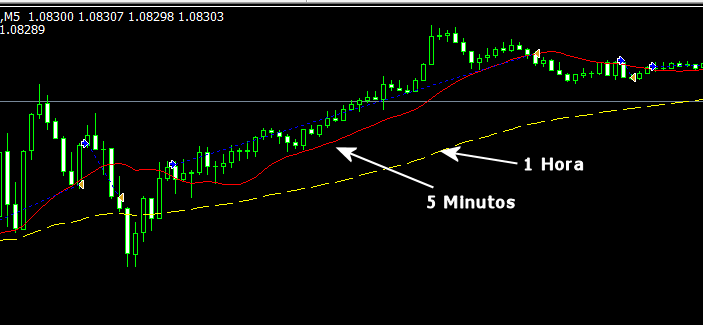 programador para metatrader