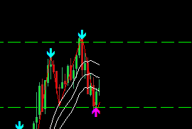 programador para metatrader de robo